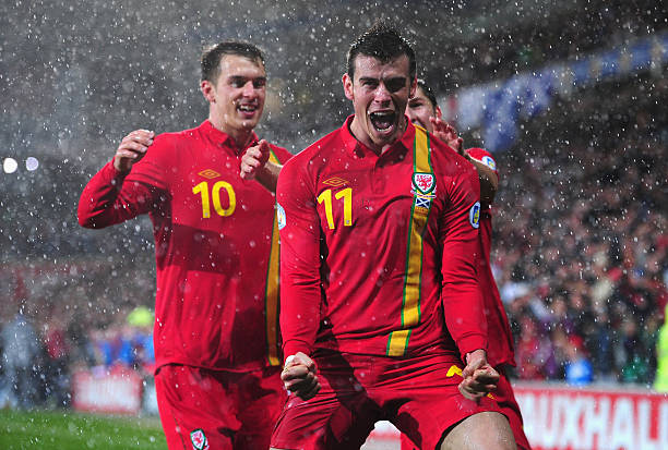 是场内的领 是场内的领