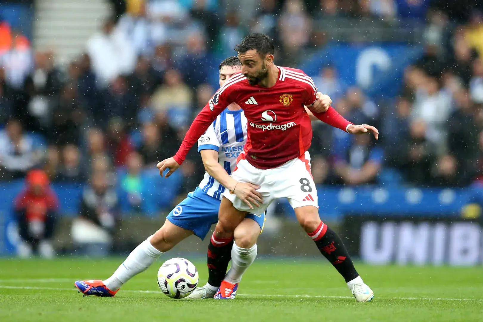 他不仅拥有 他不仅拥有