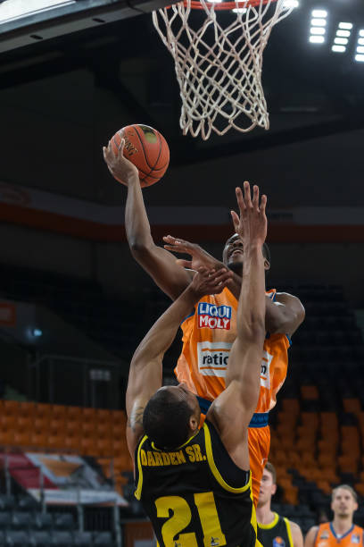 们献上了一 们献上了一